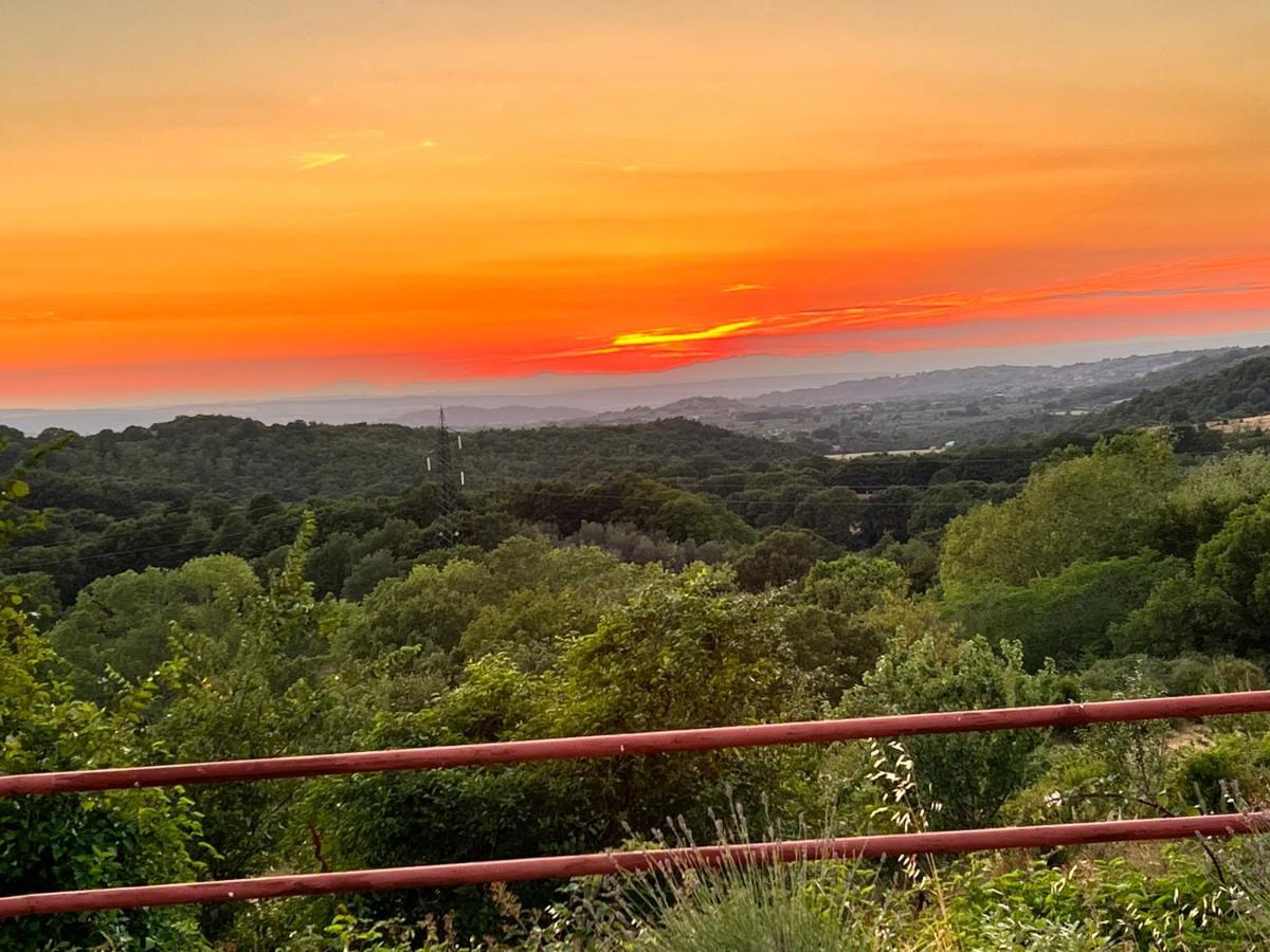 B&B Il Tramonto Barbarano Romano Dış mekan fotoğraf