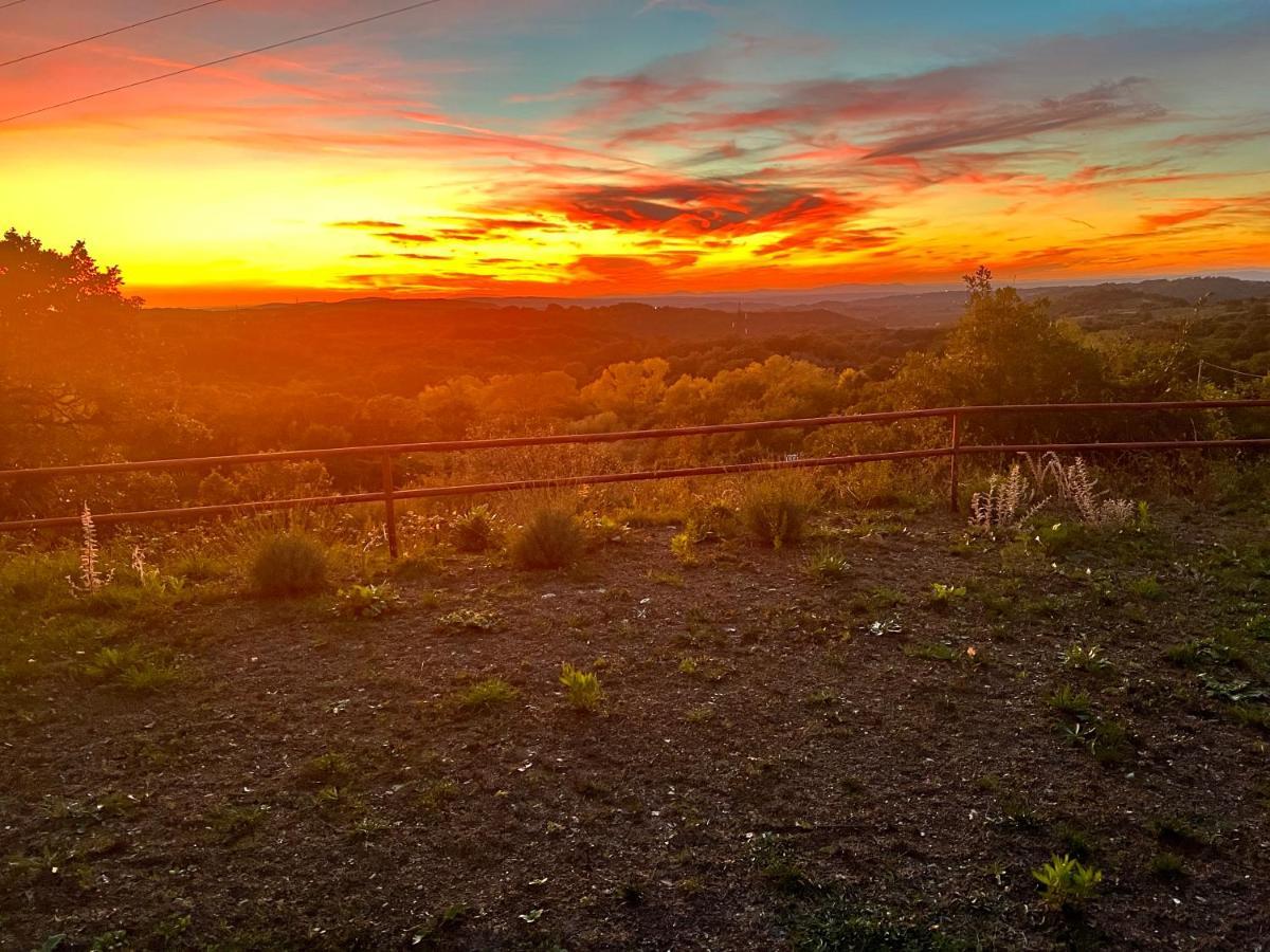 B&B Il Tramonto Barbarano Romano Dış mekan fotoğraf
