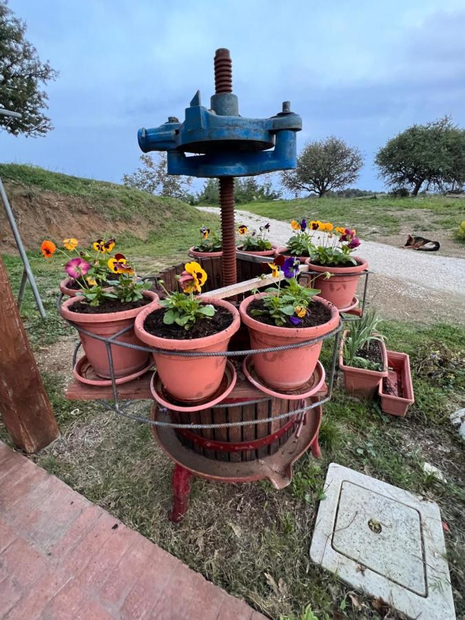 B&B Il Tramonto Barbarano Romano Dış mekan fotoğraf