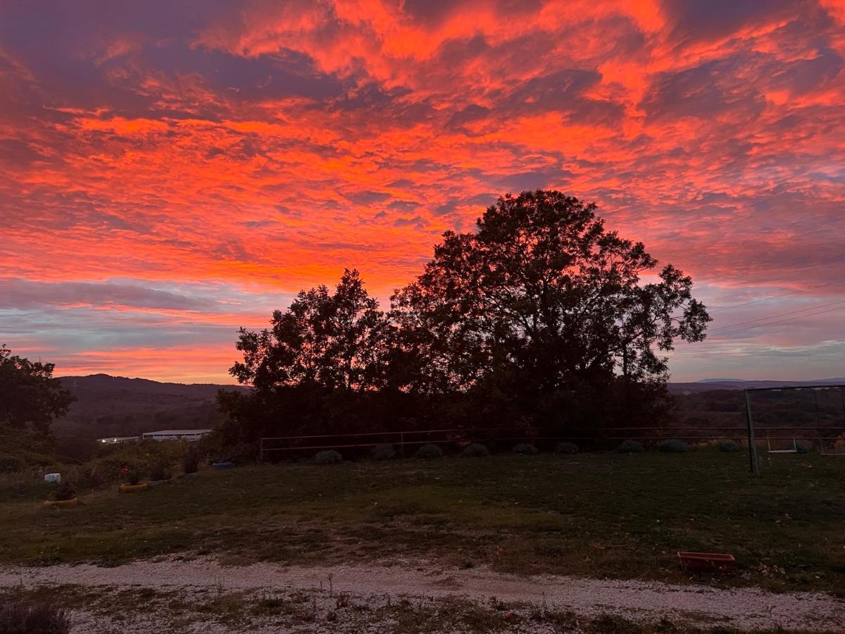 B&B Il Tramonto Barbarano Romano Dış mekan fotoğraf