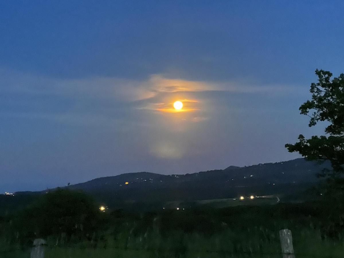 B&B Il Tramonto Barbarano Romano Dış mekan fotoğraf